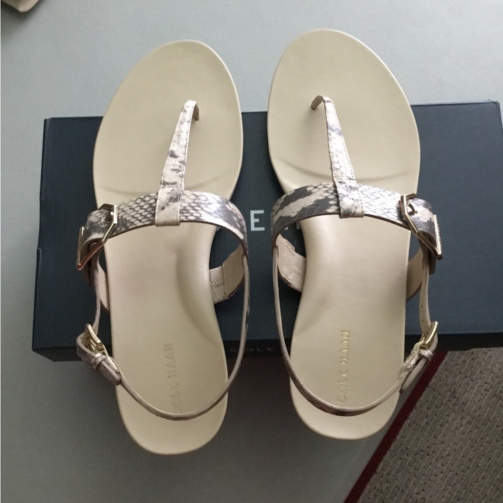 COLE HAAN